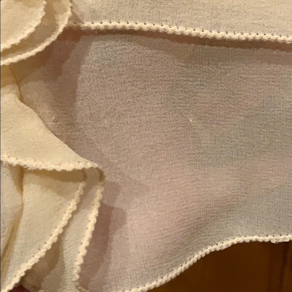 Tan sheer sleeveless blouse - Picture 5 of 6